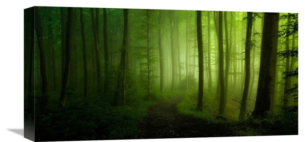 "Spring Promise" Stretched Canvas Giclee by Norbert Maier, 22x11"