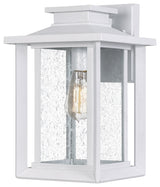 Wakefield 1-Light Outdoor Sconce in White Lustre