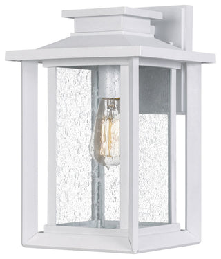 Wakefield 1-Light Outdoor Sconce in White Lustre