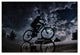 Antonio Grambone 'Reflected In The Stars' Canvas Art, 24x16