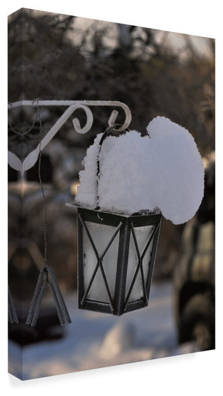 "The Weight of the Season" by Christine Sainte-Laudy, Canvas Art