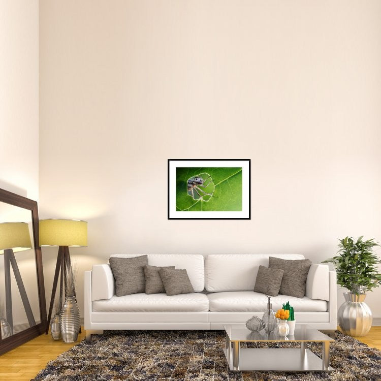 "At the window" Framed Digital Print by Ghizzi Panizza Alberto, 38"x28"