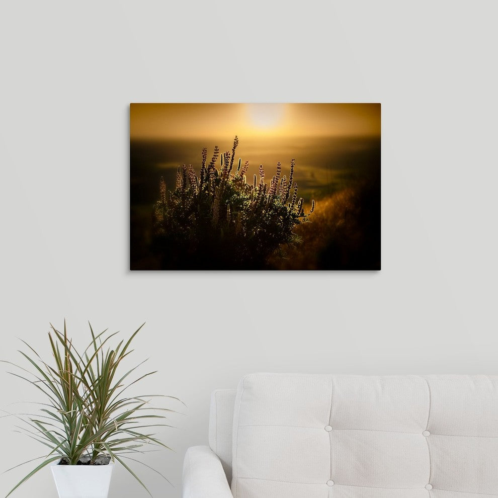 "Lupines" Wrapped Canvas Art Print, 24"x16"x1.5"