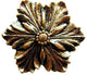 Opulent Flower Knob Antique Brass, Brite Brass