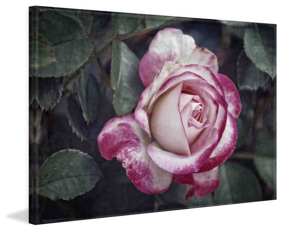 "Vintage and Variagated" Painting Print on Canvas by Robertson