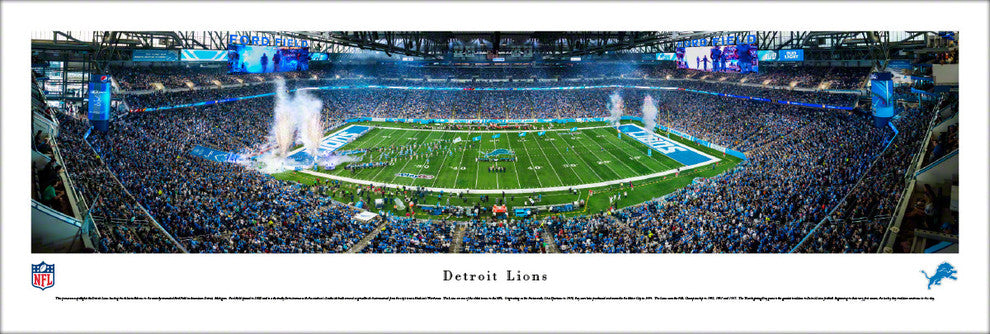 Detroit Lions, 50 Yard Line, Unframed