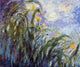 Claude Oscar Monet Yellow Irises Premium Canvas Print