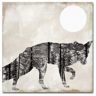 Color Bakery 'Going Wild VII' Canvas Art, 14x14