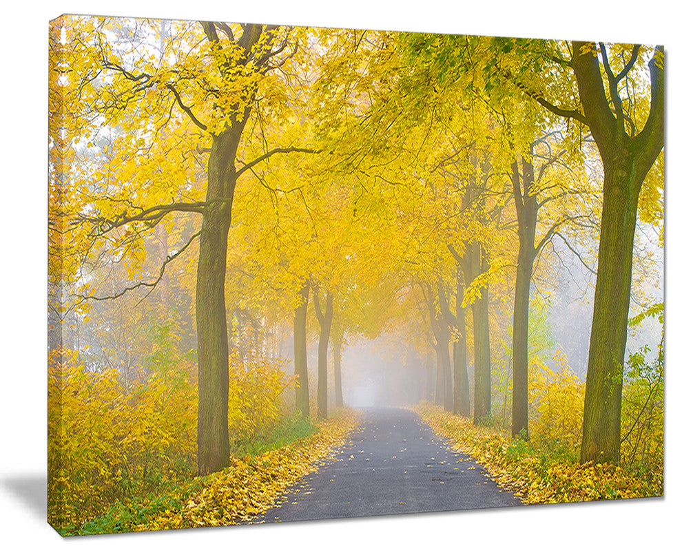 "Misty Road in Yellow Autumn Forest" Photograph Print, 20"x12"