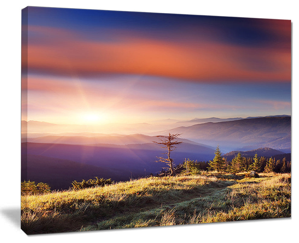 Fantastic Sunrise and Dead Tree - Landscape Photo Canvas Art Print - 40x30