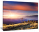 Fantastic Sunrise and Dead Tree - Landscape Photo Canvas Art Print - 40x30