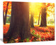 Autumn Trees in the Sunlight, Large Landscape Canvas Art, 40"x30"
