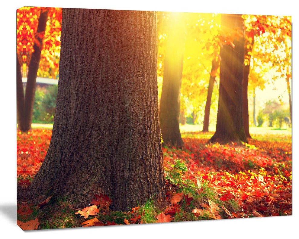 Autumn Trees in the Sunlight, Large Landscape Canvas Art, 40"x30"