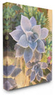 Succulent Plant Desert Party Painting Canvas Wall Art, 24"x30"
