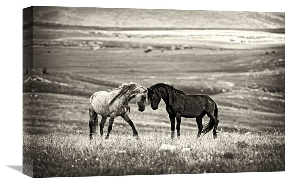 "Close Encounter" Stretched Canvas Giclee by Vedran Vidak, 22x15"