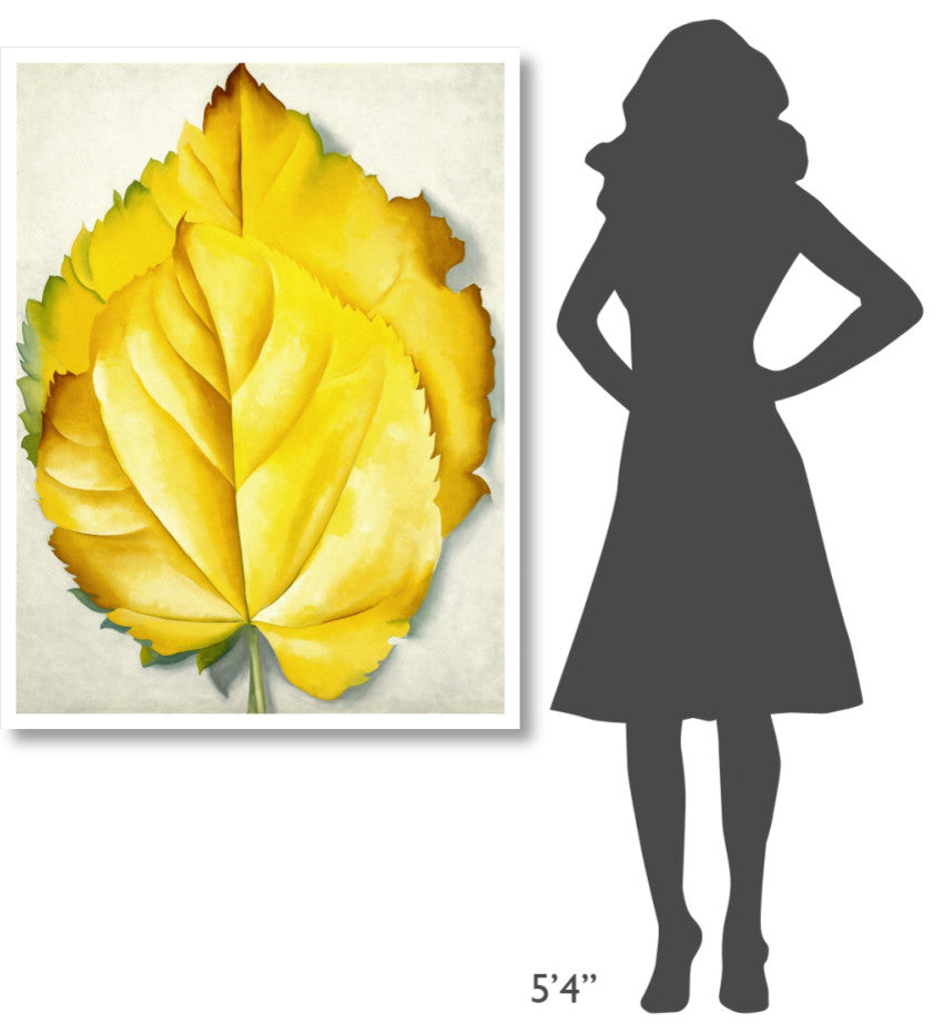 "2 Yellow Leaves (Yellow Leaves), 1928" Print by Georgia O'Keeffe, 35"x46"