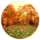 Beautiful Autumn With Green Grass, Landscape Round Wall Art, 11"