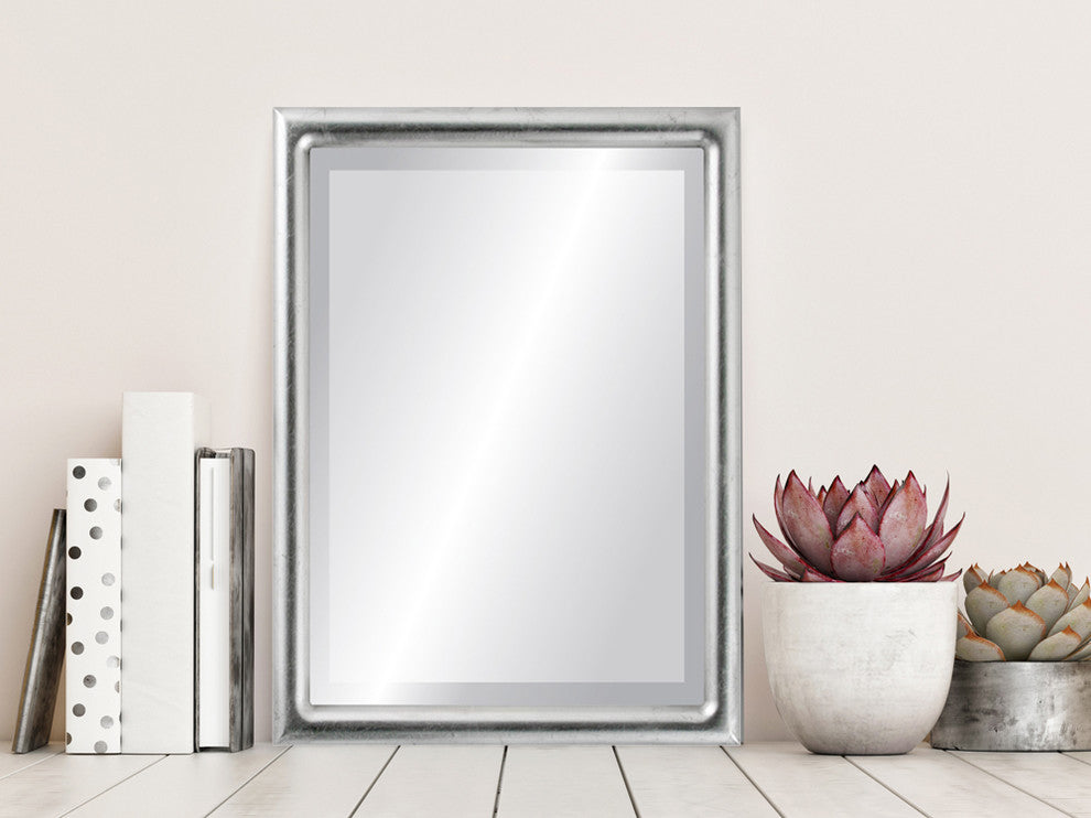 Pasadena Framed Rectangle Mirror, Silver Leaf With Black Antique, 21"x25"