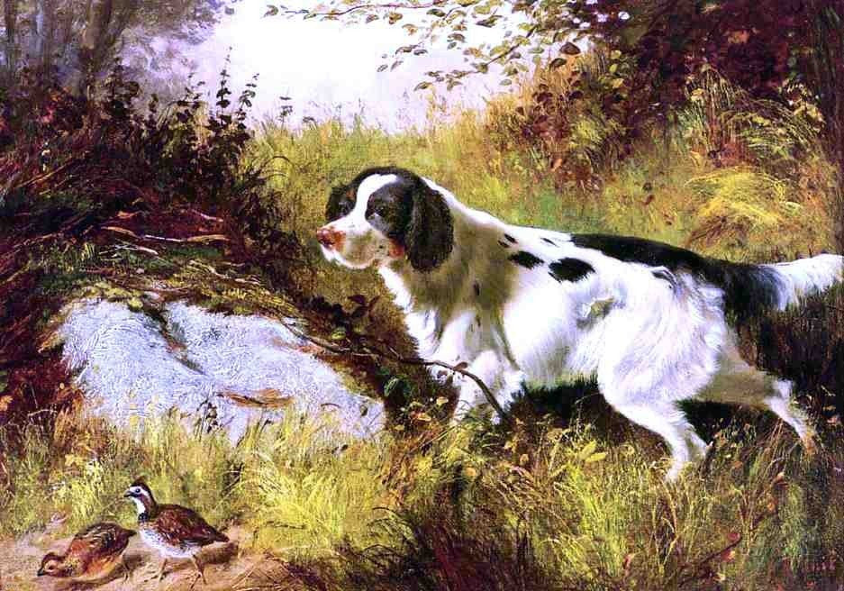 Arthur Fitzwilliam Tait Dog and Quail, 18"x27" Wall Decal