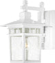 Traditional Cove Neck 1 Lgt Outdoor Wall, White / Glass Finish