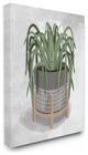 Friendly Spider Plant Grey Green Painting, 24"x30"