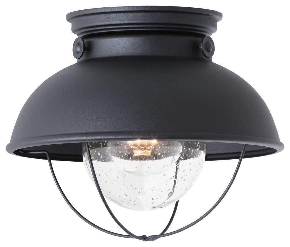 Generation Lighting Lighting 1-Light Outdoor Flush Mount, Black