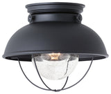 Generation Lighting Lighting 1-Light Outdoor Flush Mount, Black