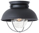 Generation Lighting Lighting 1-Light Outdoor Flush Mount, Black