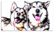 "Husky Buddies" Canvas Painting