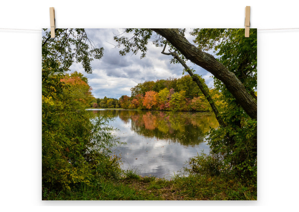 Lost in Autumn Color Landscape Photo, Rural Unframed Wall Art Print, 16" X 20"