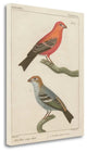 "Sylvains II" By Wild Apple Portfolio, Giclee Print on Gallery Wrap Canvas