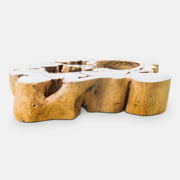 Ficus Wood Coffee Table Base