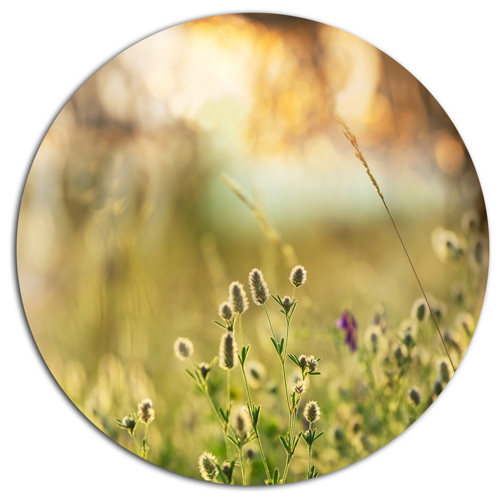 Little Summer Flowers In Meadow, Flower Round Wall Art, 36"