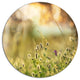 Little Summer Flowers In Meadow, Flower Round Wall Art, 36"