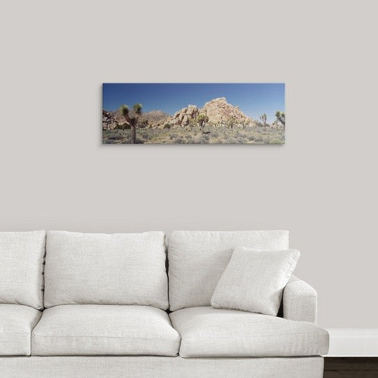 "California, Joshua Tree National Monument, Rock formation in a arid landscap...