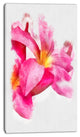 Beautiful Flowers with Big Pink Petals, Floral Canvas Art Print, 16"x32"