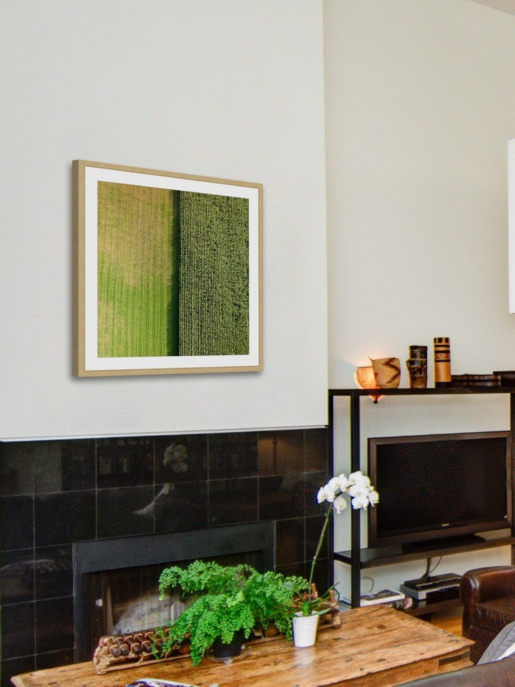 "Green Rows" Framed Print by Karolis Janulis