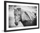 Marmont Hill, "Beautiful Mane" Framed Painting Print, 24x16