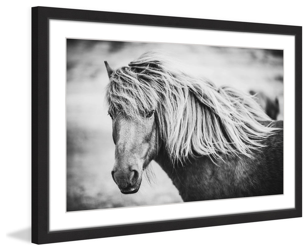 Marmont Hill, "Beautiful Mane" Framed Painting Print, 24x16