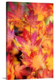 "Foliage" Wrapped Canvas Art Print, 16"x24"x1.5"