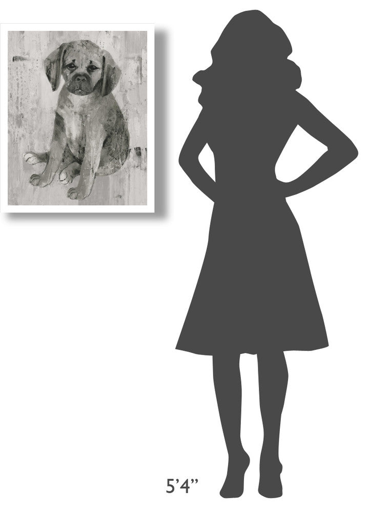 "Paco in Grey Tones" Digital Paper Print by Albena Hristova, 22"x26"
