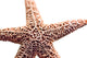 "Basket Stars" Wood, 40"x60"