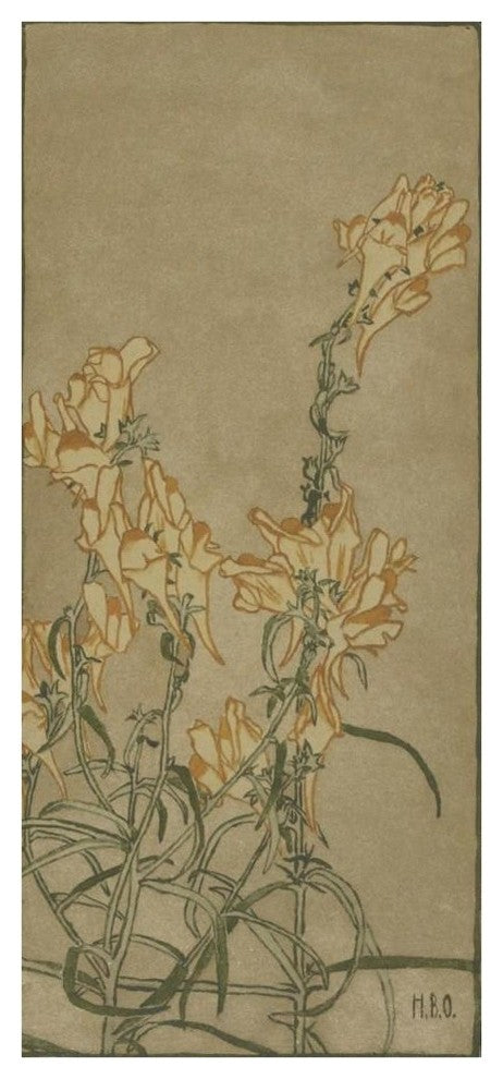 "Butter and Eggs" Digital Paper Print by Hannah Borger Overbeck, 20"x42"