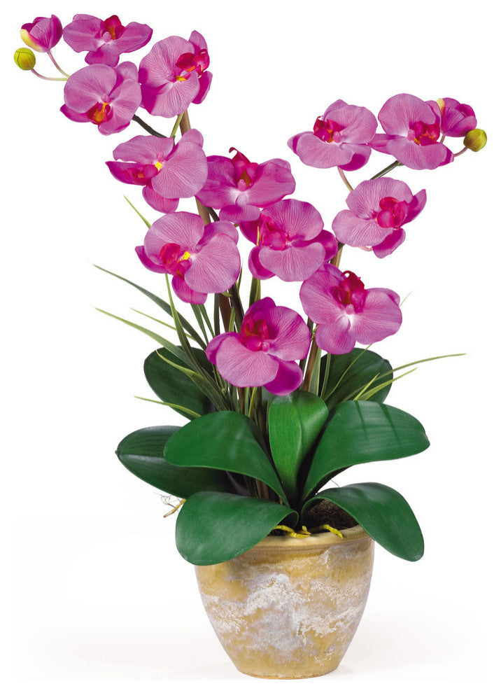 Double Stem Phalaenopsis Silk Orchid Arrangement, Orchid