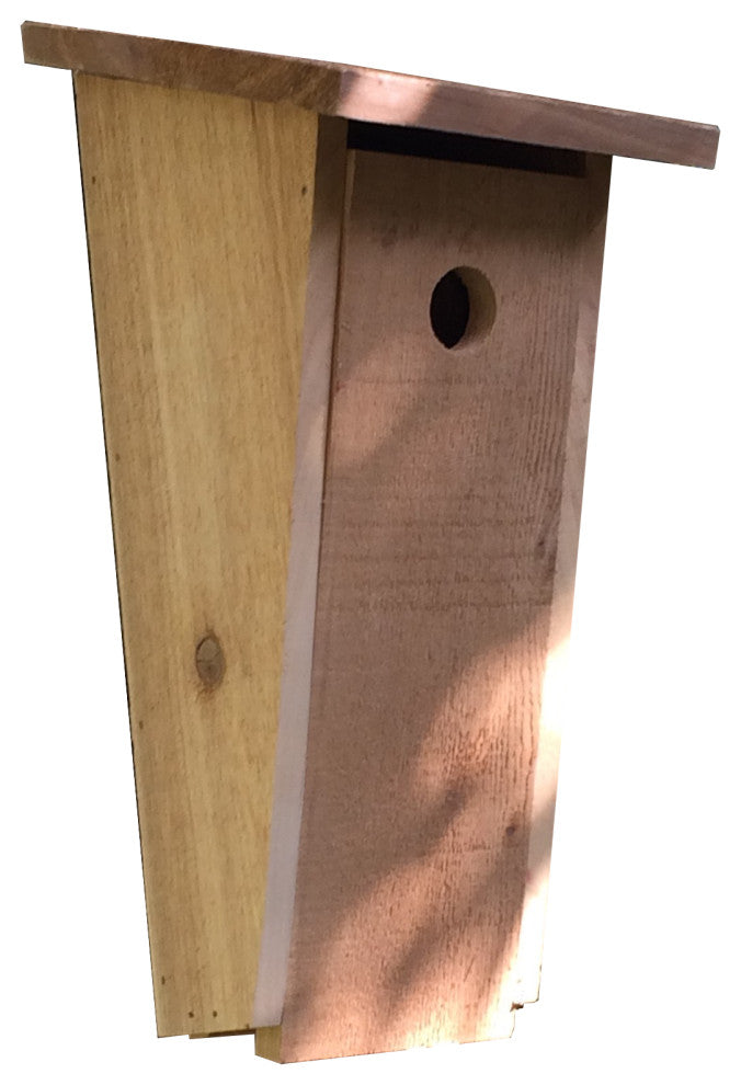 Angled Design Bird House