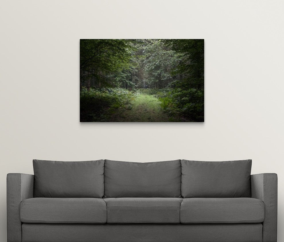 "Deep Forest" Wrapped Canvas Art Print, 48"x32"x1.5"