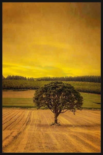 "Country Meadows" Floater Framed Painting Print on Canvas, 40"x60"