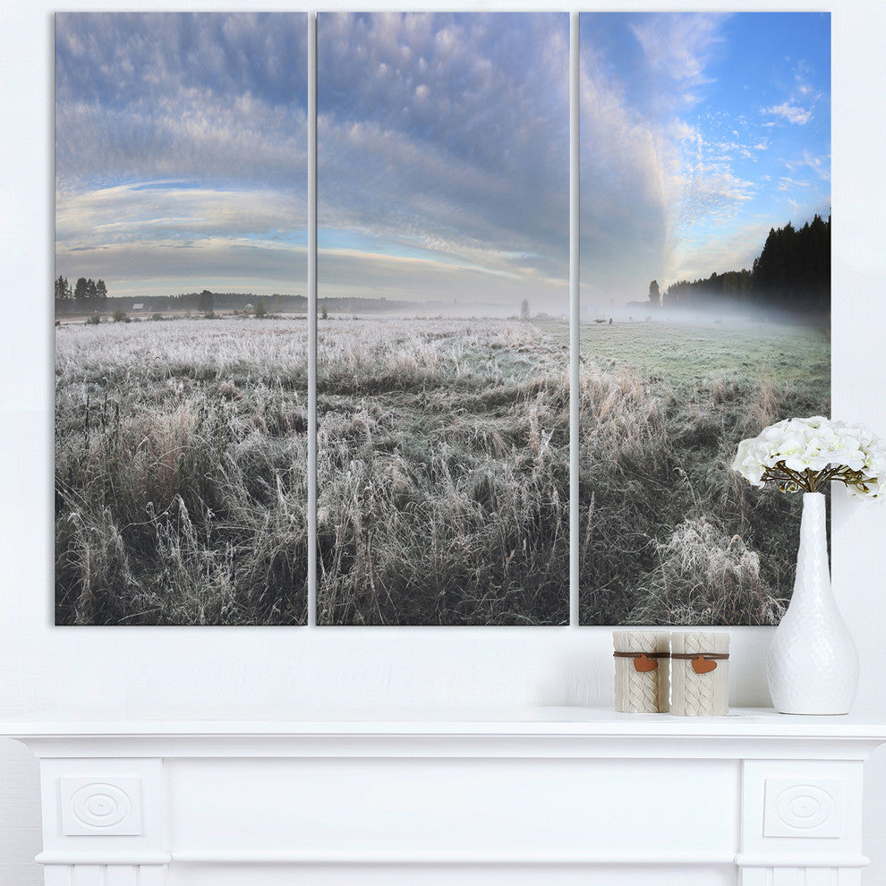 "Hoarfrost on Grass Under Cloudy Sky" Metal Wall Art, 3 Panels, 36"x28"
