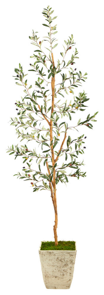 70" Olive Artificial Tree, Country White Planter