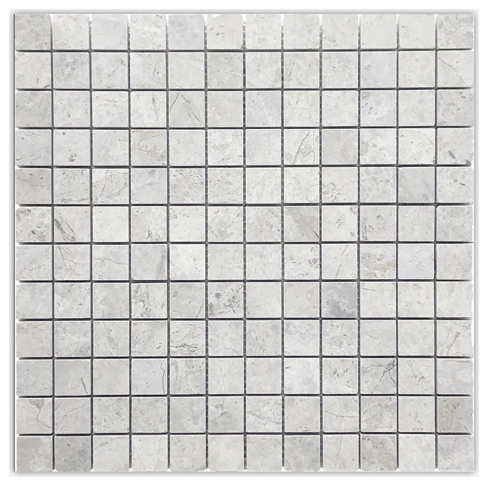 Silver Gray Dark Polished 1x1 Marble Mosaic